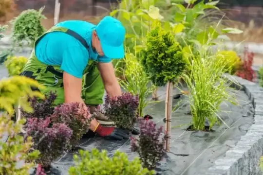 Custom Landscaping