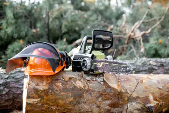 Tree Cutting